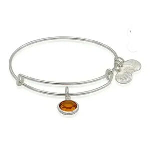 Alex and Ani Raffaelian Silver Expandable November Birthstone Charm Bangle